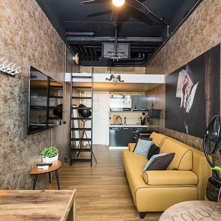 Dresden Loft An Der Elbe Exterior foto